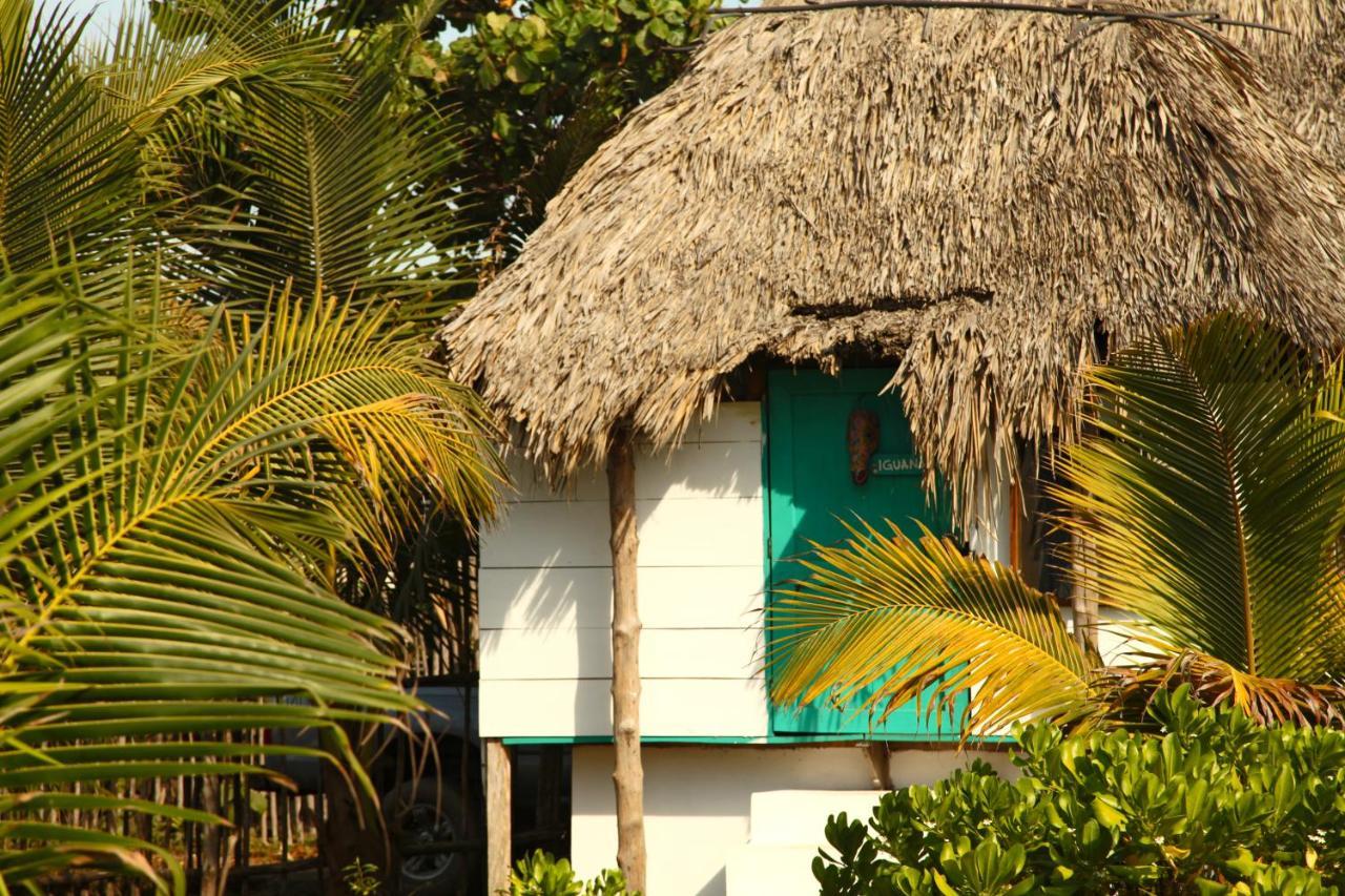 Cocori Lodge Paredon El Paredón Buena Vista Екстериор снимка