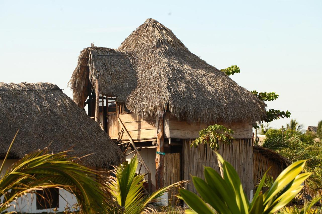 Cocori Lodge Paredon El Paredón Buena Vista Екстериор снимка