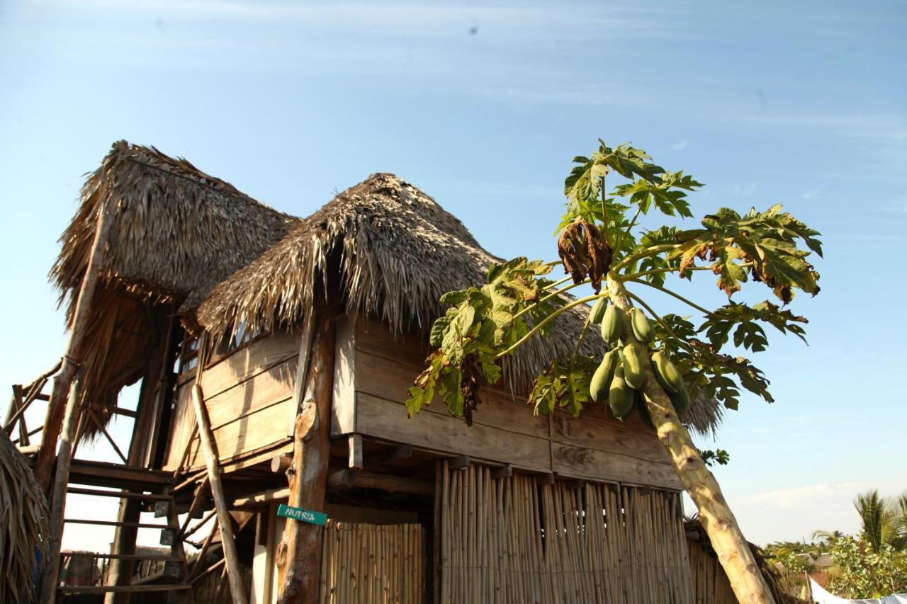 Cocori Lodge Paredon El Paredón Buena Vista Екстериор снимка