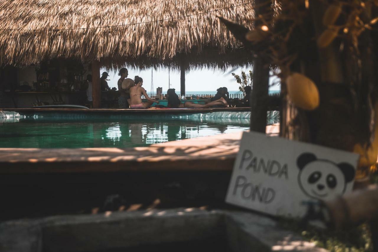 Cocori Lodge Paredon El Paredón Buena Vista Екстериор снимка